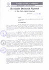 Vista preliminar de documento RDR 204-2025