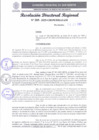 Vista preliminar de documento RDR 205-2025