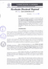 Vista preliminar de documento RDR 206-2025
