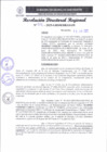 Vista preliminar de documento RDR 208-2025