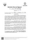 Vista preliminar de documento RDR Nº 1032-2025-GRSM-DRE