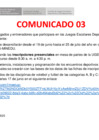Vista preliminar de documento COMUNICADO 03 DE  JUEGOS ESCOLARES DEPORTIVOS Y PARADEPORTIVOS  2025