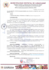 Vista preliminar de documento RDA_096-2025-MDL