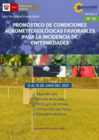 Vista preliminar de documento PronosticoEnfermedades120625