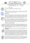 Vista preliminar de documento 273-2025-MPJA