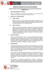 Vista preliminar de documento TDR REQ 2845
