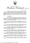 Vista preliminar de documento RD 0100-2025-MINEM-DGE
