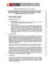 Vista preliminar de documento TDR V2