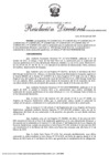 Vista preliminar de documento RD 0106-2025-MINEM-DGE