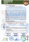 Vista preliminar de documento ACTA DE OTORGAMIENTO DE LA BUENA PRO