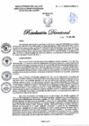 Vista preliminar de documento RD N°435-2025-DG-DIRIS-LC