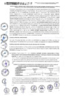 Vista preliminar de documento SEGUNDA ADENDA - GORE UCAYALI firmada 10.06.2025
