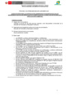 Vista preliminar de documento CAS-050-2025-BASES DEL PROCESO