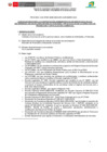 Vista preliminar de documento CAS-051-2025-BASES DEL PROCESO