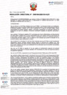 Vista preliminar de documento RESOLUCIÓN  DIRECTORAL-000196-2025-DG
