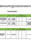 Vista preliminar de documento 4. PLAZAS VACANTES