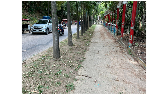 Trabajos de limpieza y desmalezado en la alameda Turรญstica.