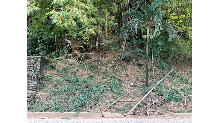 Trabajos de limpieza y desmalezado en la alameda Turรญstica.
