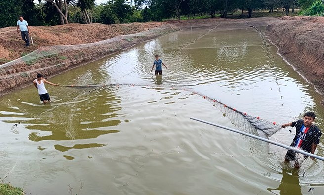 Recojo de peces.