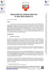 Vista preliminar de documento Resolución