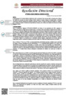Vista preliminar de documento R.D N°0934-2025-DIRESA-OGESS-HC DG