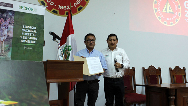 nota junco