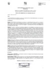 Vista preliminar de documento R.A. 00699-2025-P-CSJCL-PJ