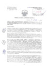 Vista preliminar de documento RA 206-2025-DMID-DIRIS-LS-MINSA