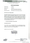 Vista preliminar de documento Manual de Clasificador de Cargos