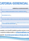 Vista preliminar de documento CONVOCATORIA GSN JUNIO 25