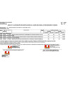 Vista preliminar de documento Anexo 06 -  Aprobación de Modificación del CMN N° 34
