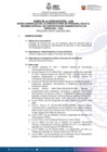 Vista preliminar de documento Convocatoria N° 028-2025