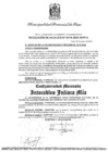 Vista preliminar de documento RES_Alcaldia_674_2025