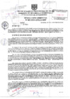 Vista preliminar de documento Resolución Gerencial N° 083-2025-GDTyGI/MPP