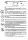 Vista preliminar de documento Nº 135-2025