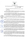 Vista preliminar de documento RER.343