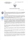 Vista preliminar de documento RD-2568-2025-DSAIA-DIRIS-LE-MINSA