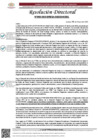 Vista preliminar de documento R.D N°0985-2025-DIRESA-OGESS-HC DG