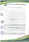 Vista preliminar de documento R.M.N°333-2025-GEMU