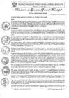 Vista preliminar de documento Nº 133-2025