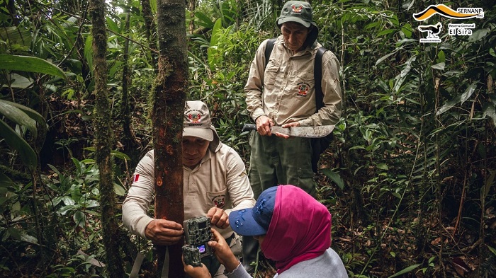 monitoreo biodiversidad