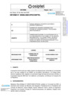 Vista preliminar de documento Informe N° 084-DPRC/2025