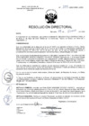 Vista preliminar de documento R.D. Nº 384-2025
