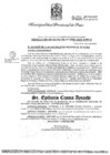 Vista preliminar de documento RES_Alcaldia_700_2025