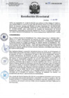 Vista preliminar de documento RD N°090-202-SA-DG-INR