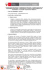 Vista preliminar de documento TDR