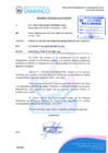 Vista preliminar de documento N°019-2025-AL/SVOR-MDS
