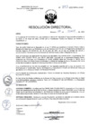 Vista preliminar de documento R.D. Nº 393-2025