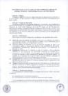 Vista preliminar de documento 2 REGLAMENTO DS N° 078-2025-PCM