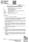 Vista preliminar de documento Informe Técnico N° 002-2025-SJMR-SGACP-GAF-MDB